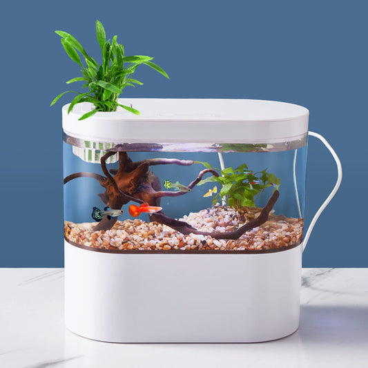 Mini goudvissen aquarium desktop aquarium starterset met LED-licht en filter voor goudvissen geschikt voor thuis/kantoor