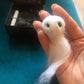 Adopteer een spook